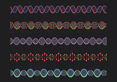Conceptual vector style images of multicolored DNA on a black background.